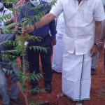 Mr Karti Chidambaram, MP Sivaganga and Sivaganga District Collector joined in the planting of tree saplings function organised by Atma Inbham Charitable Trust